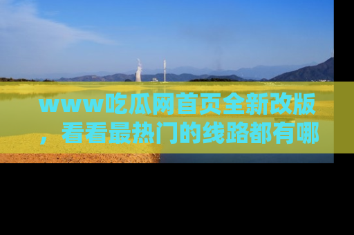 www吃瓜网首页全新改版，看看最热门的线路都有哪些！