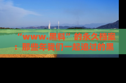 “www.黑料”的永久档案:那些年我们一起追过的黑料真相