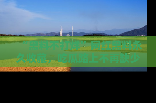 “黑料不打烊”网红黑料永久收藏，吃瓜路上不再缺少惊喜与乐趣