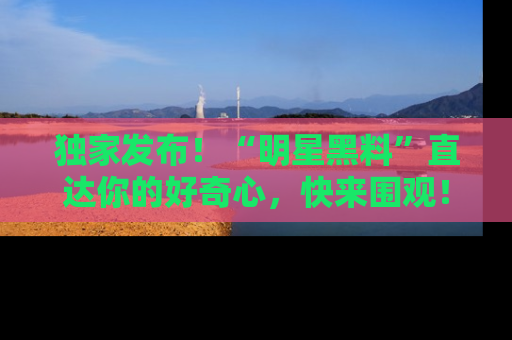独家发布！“明星黑料”直达你的好奇心，快来围观！
