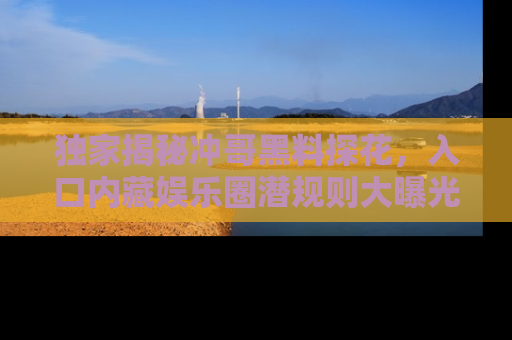 独家揭秘冲哥黑料探花，入口内藏娱乐圈潜规则大曝光