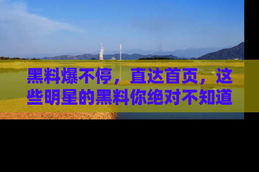 黑料爆不停，直达首页，这些明星的黑料你绝对不知道！