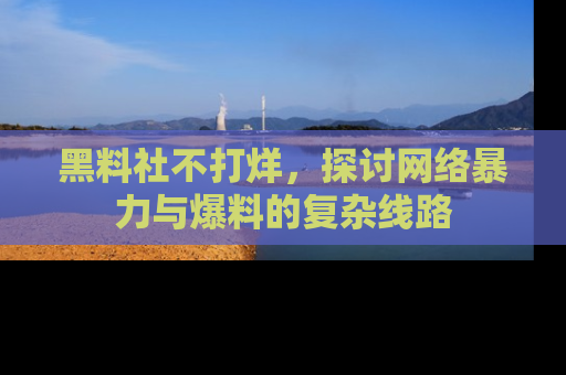 黑料社不打烊，探讨网络暴力与爆料的复杂线路
