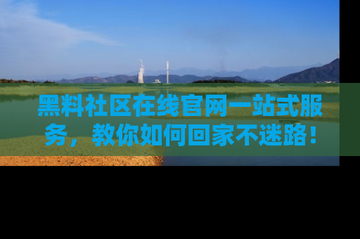 黑料社区在线官网一站式服务，教你如何回家不迷路！