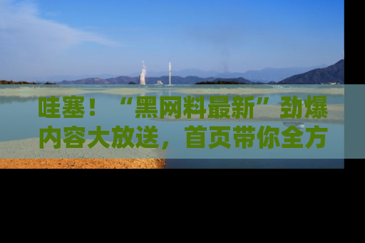 哇塞！“黑网料最新”劲爆内容大放送，首页带你全方位了解哦，小可爱们