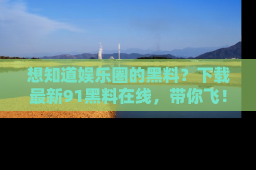 想知道娱乐圈的黑料？下载最新91黑料在线，带你飞！