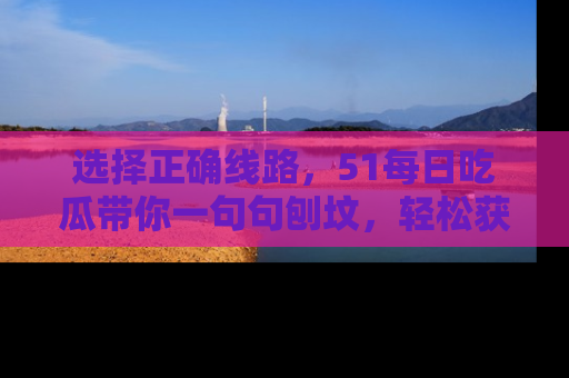 选择正确线路,51每日吃瓜带你一句句刨坟,轻松获取娱乐新资讯