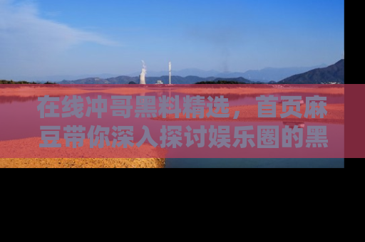 在线冲哥黑料精选，首页麻豆带你深入探讨娱乐圈的黑暗面
