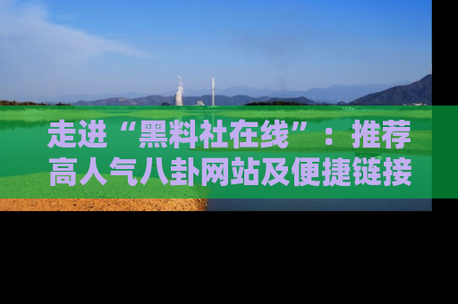 走进“黑料社在线”:推荐高人气八卦网站及便捷链接的全面指南