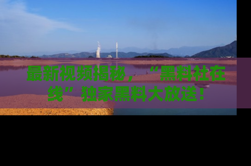 最新视频揭秘,“黑料社在线”独家黑料大放送!